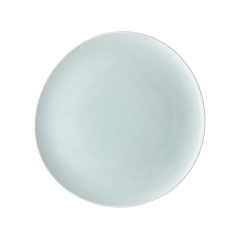 Plate, 10 5/8 inch